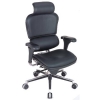 Raynor Eurotech Ergohuman LE9ERG